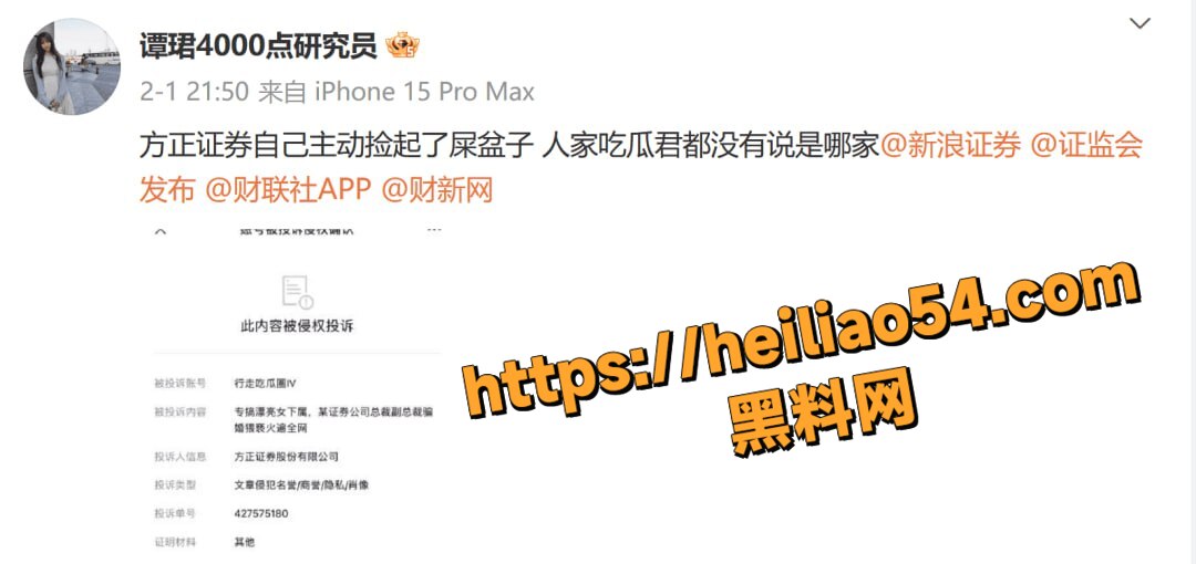 分析师谭珺不雅视频13