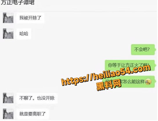 分析师谭珺不雅视频12