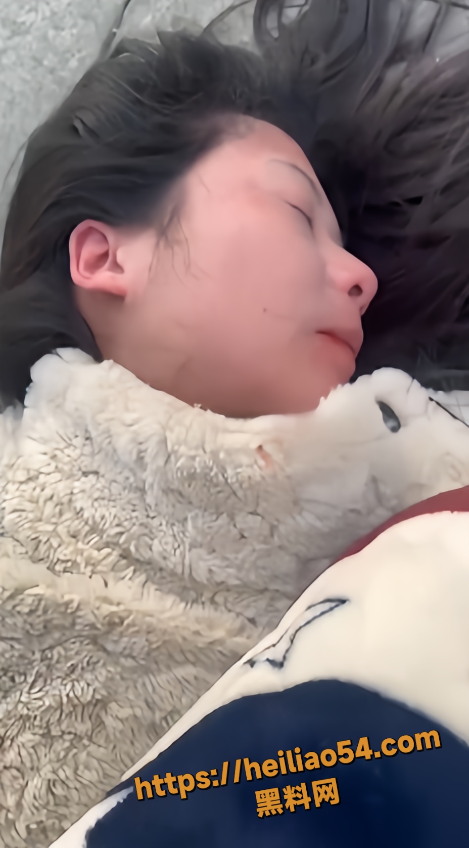 广东虎门庞凤华出轨事件1