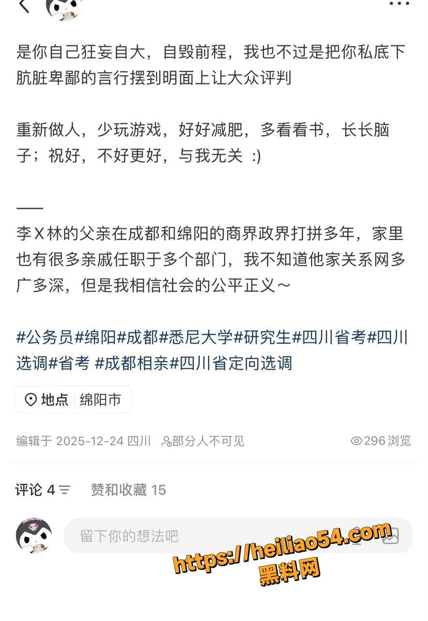 四川绵阳经济合作局17