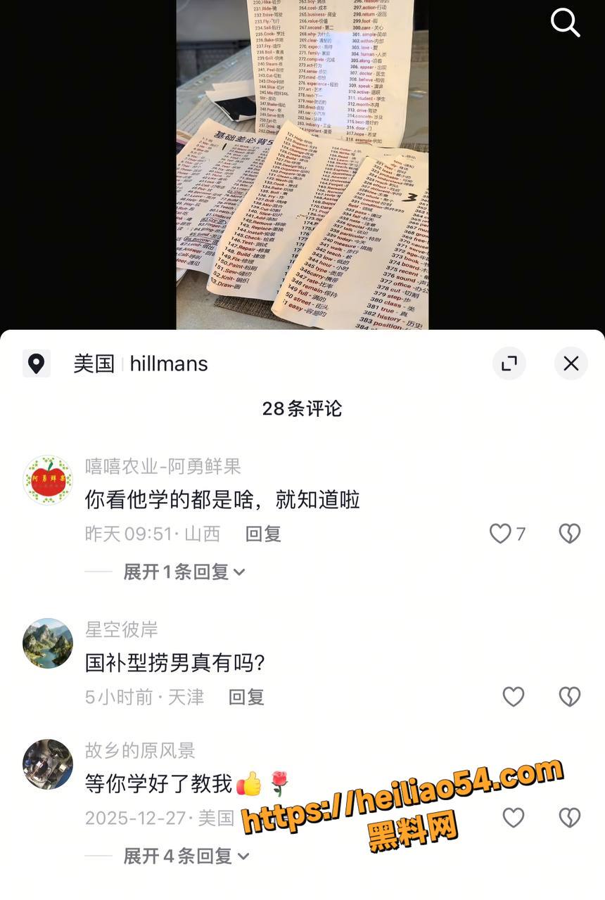 美国陪读妈妈媚黑真13