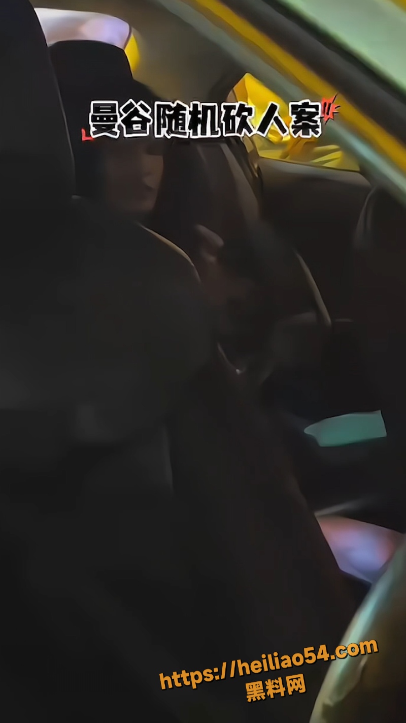 社会安全4