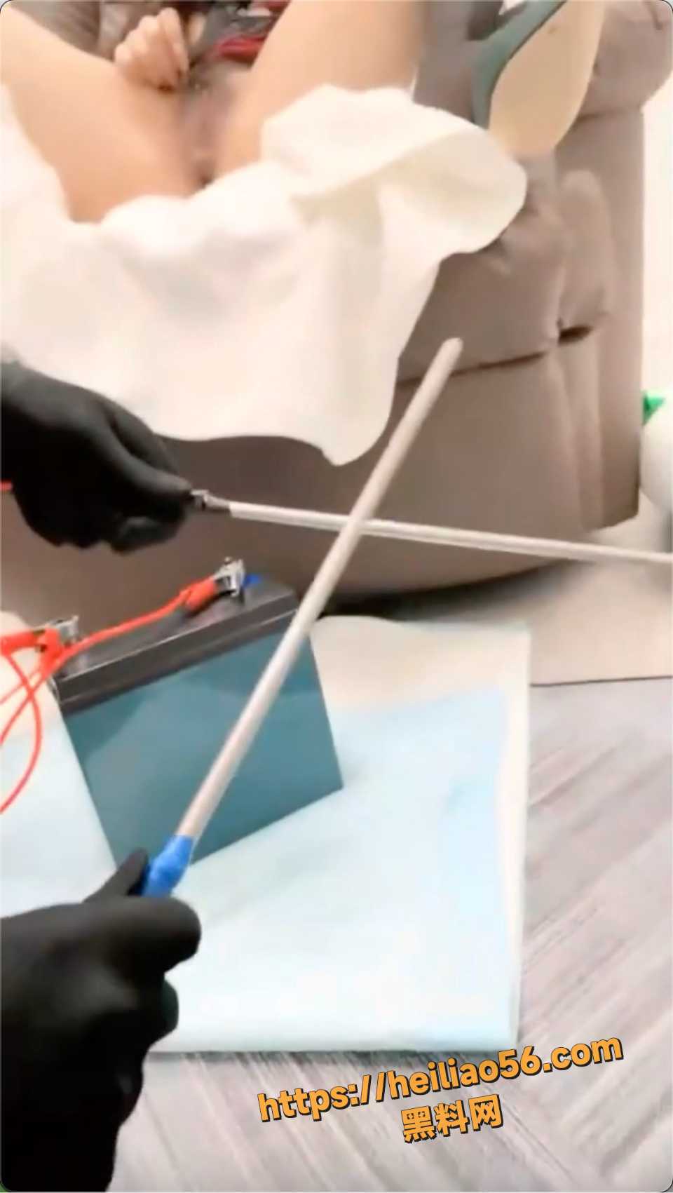 猎奇资源视频2