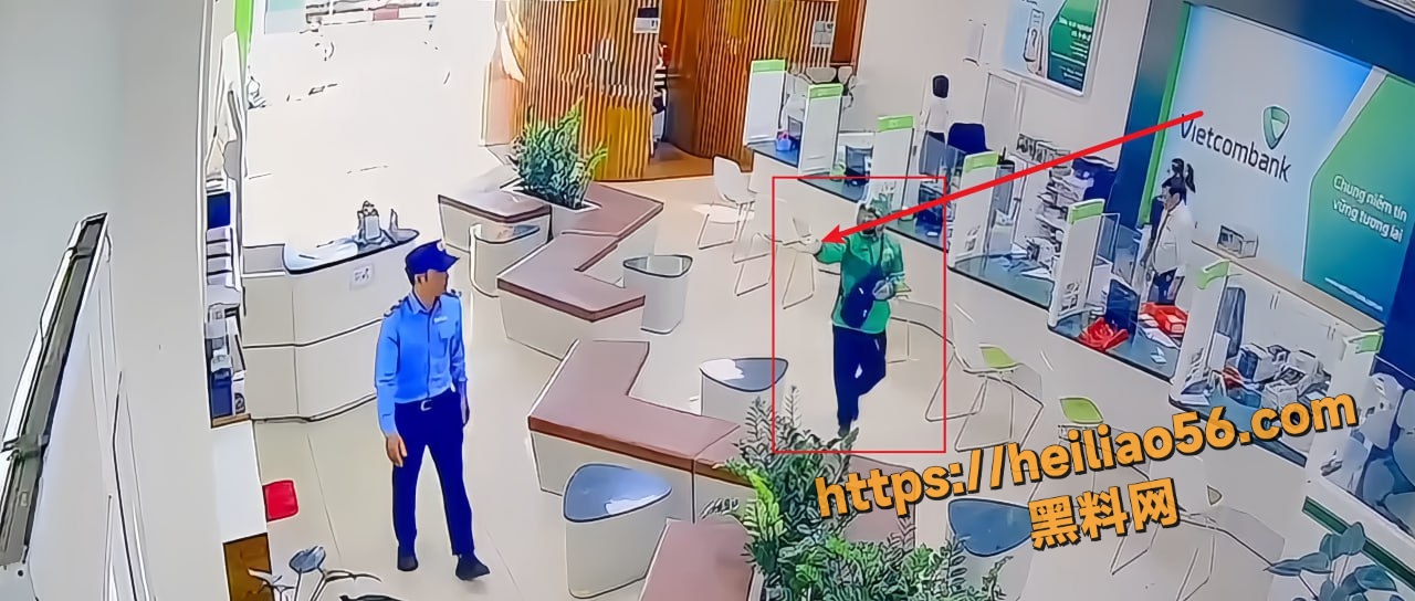 越南嘉莱省波来古市情节事件2