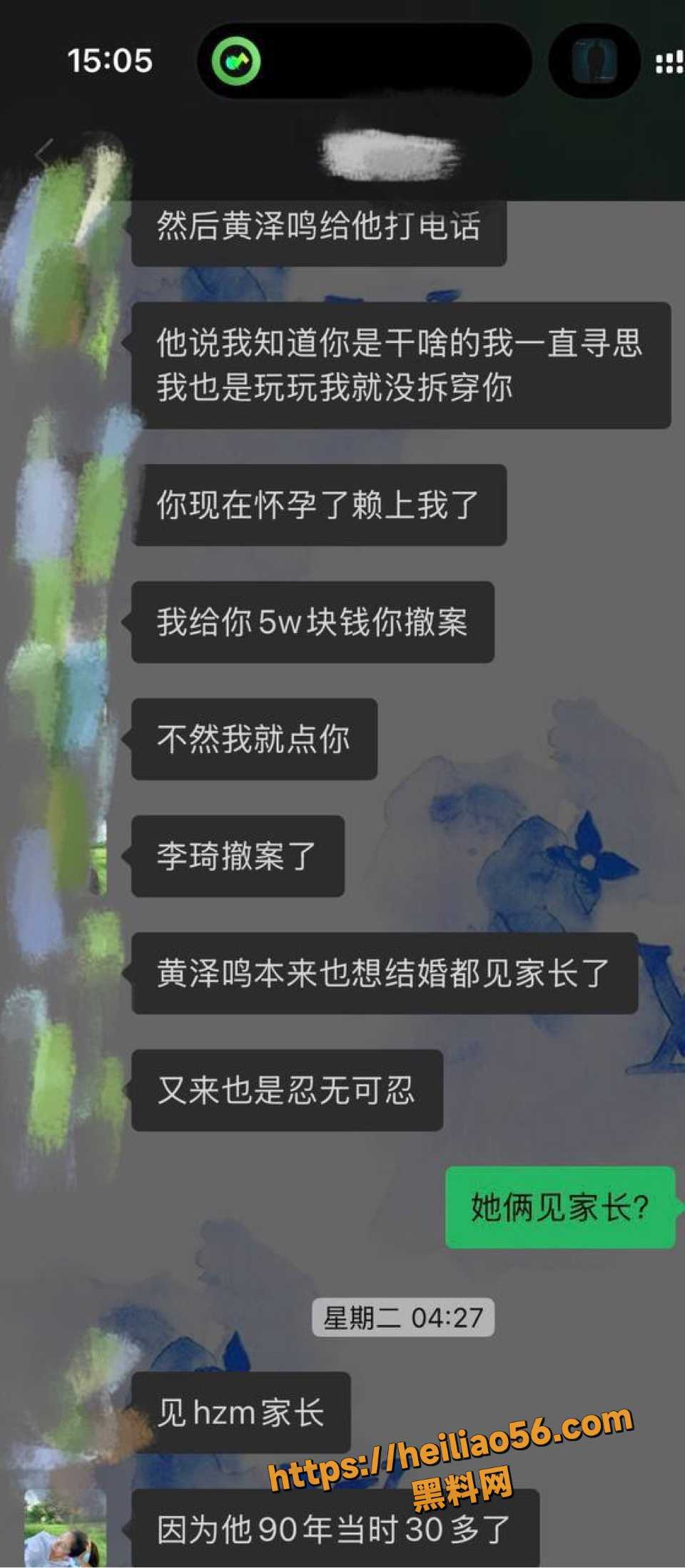 外围女26