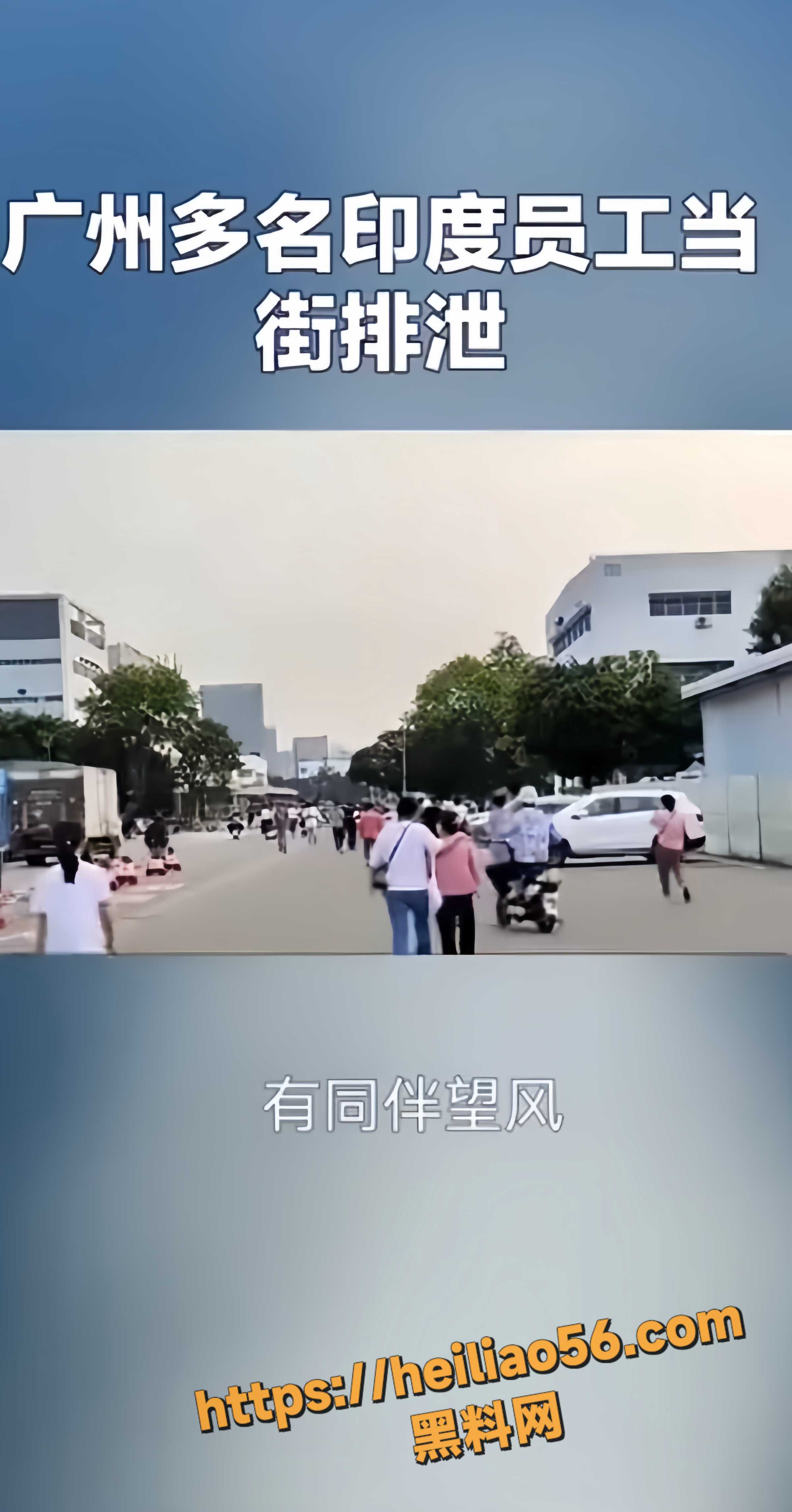 黑料网7