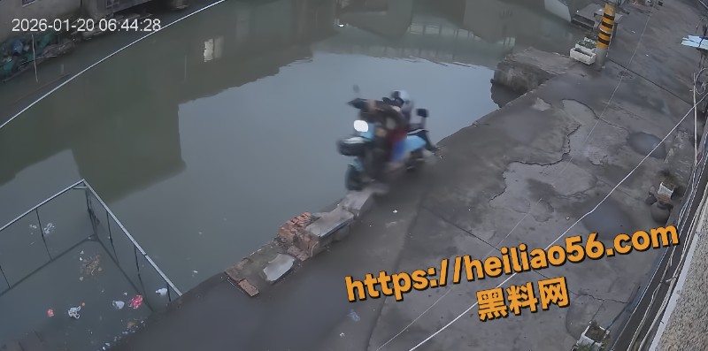大姐落水邻里合力救援2