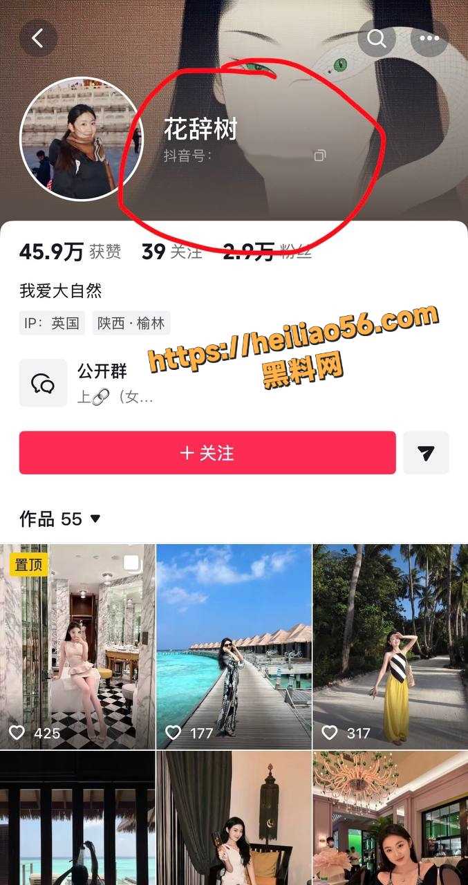 歌手48