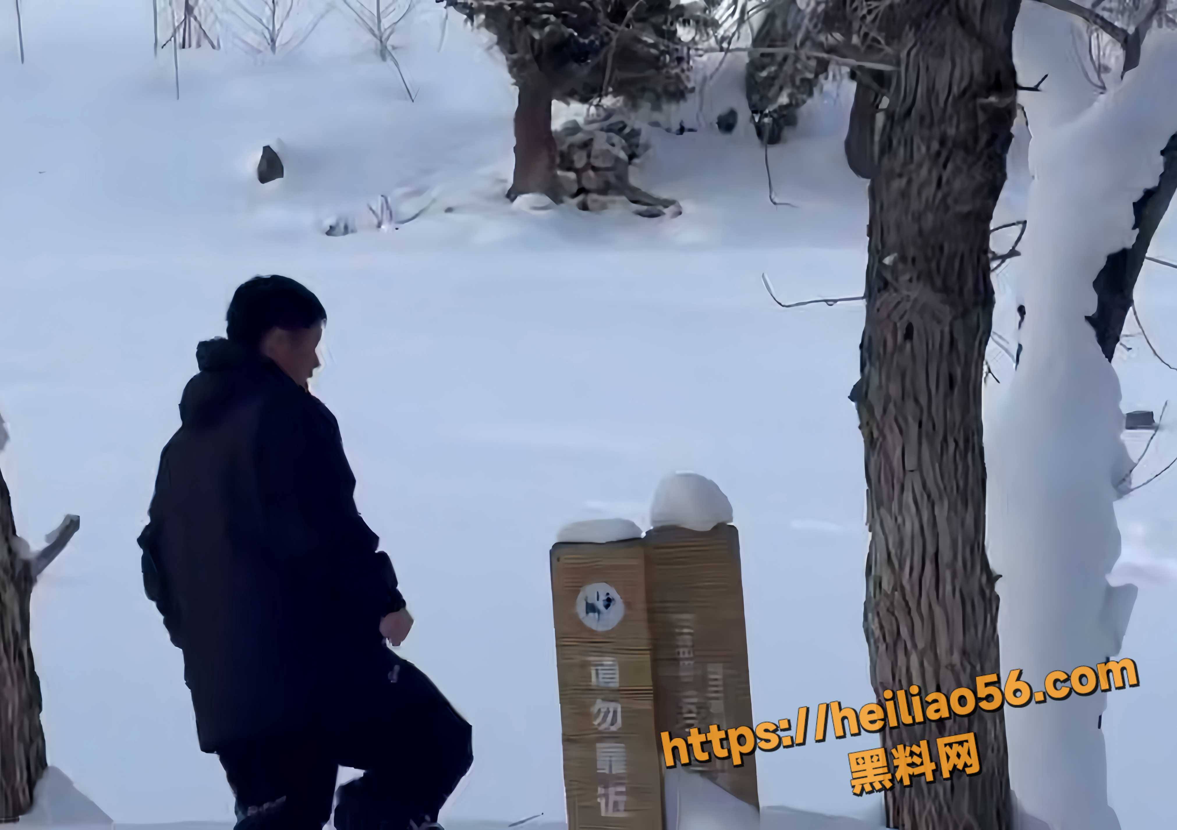 阿勒泰可可托海宝石沟事件2