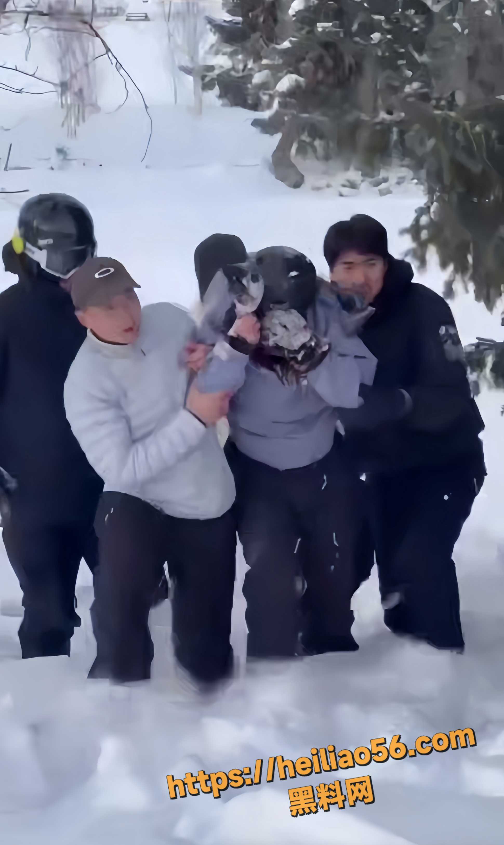 新疆雪豹伤人事件3