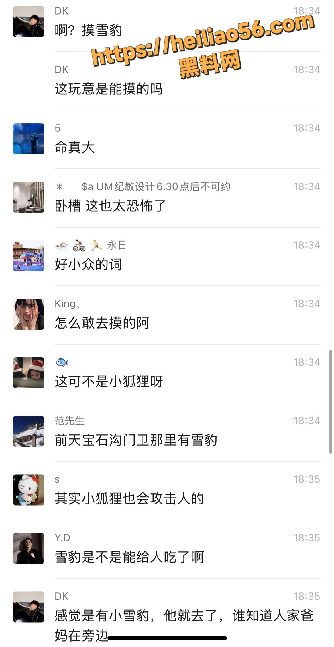 新疆雪豹伤人事件7
