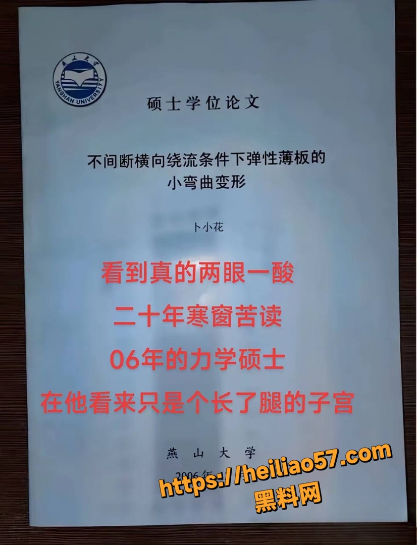 张瑞军拐卖人口事件1