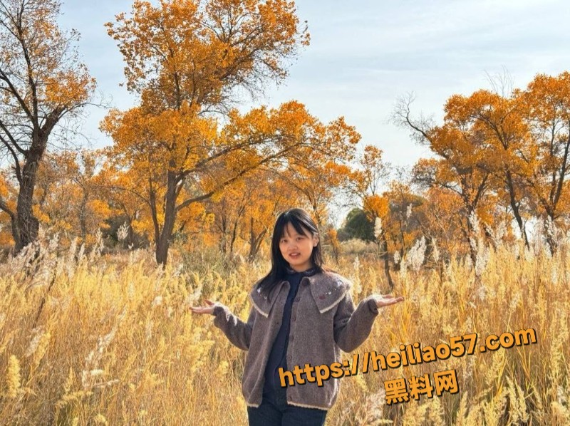 喀什6