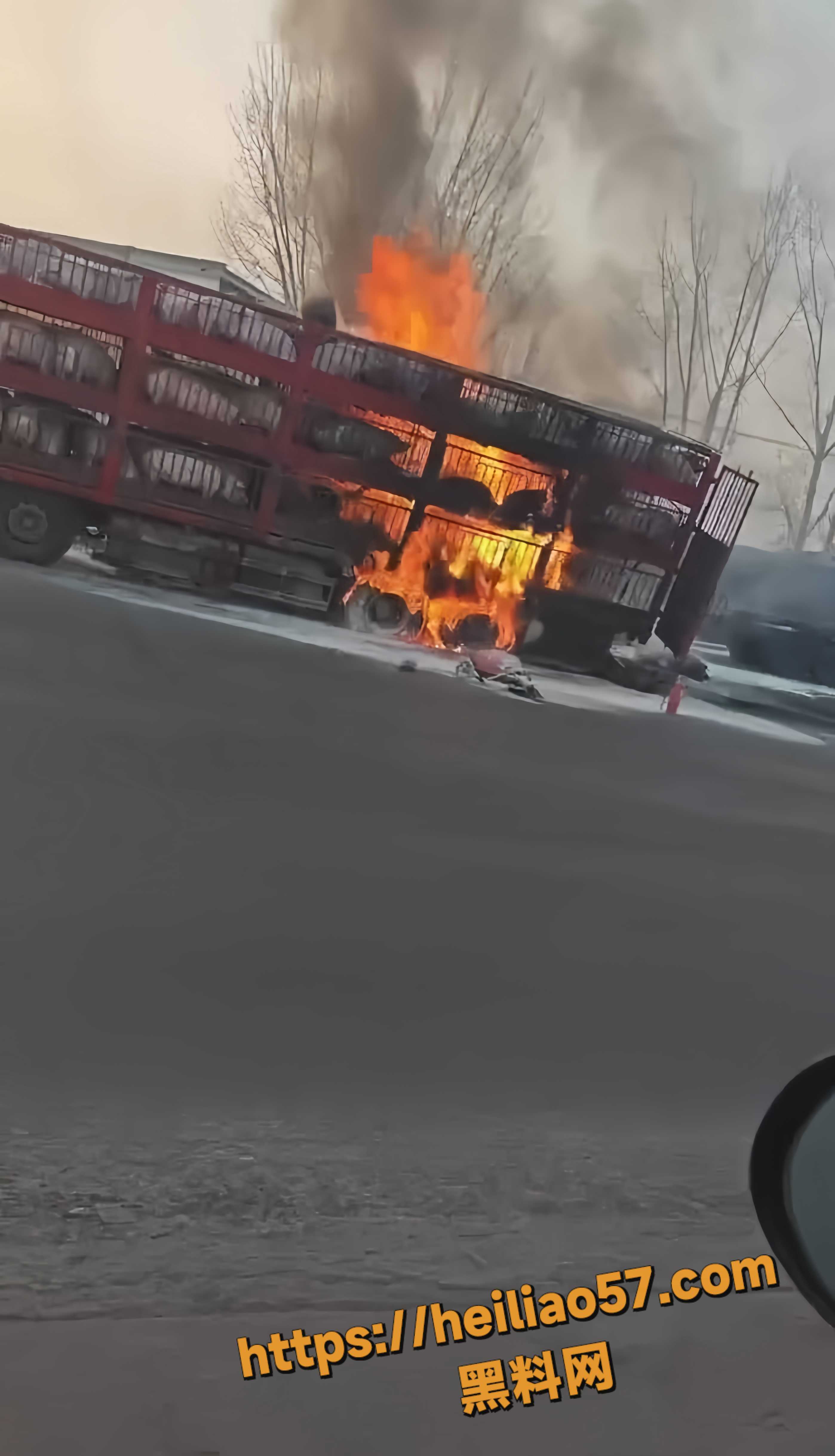 河南宝丰拉猪车起火事件2