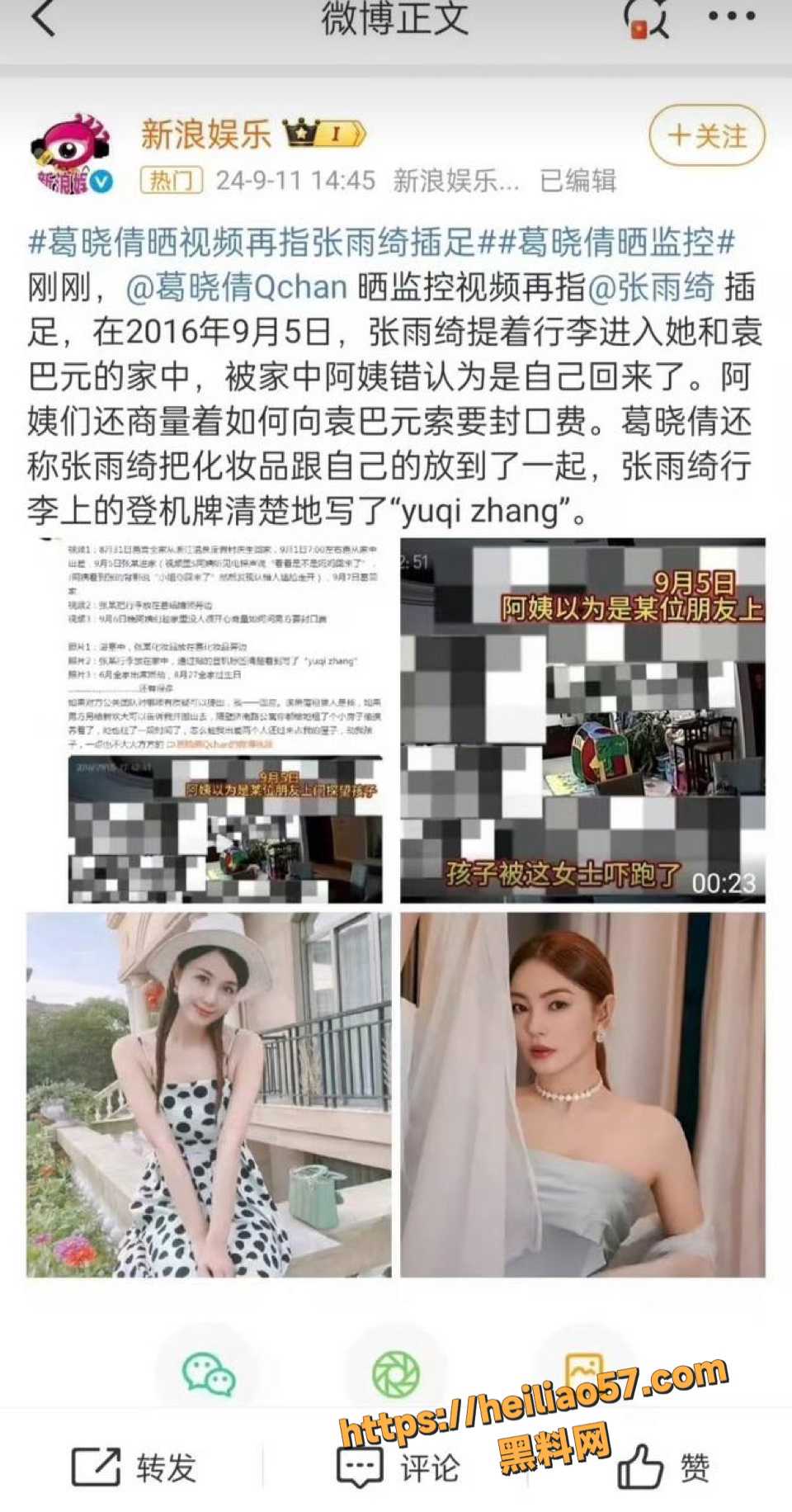 张雨绮双胞胎代孕时间质疑3