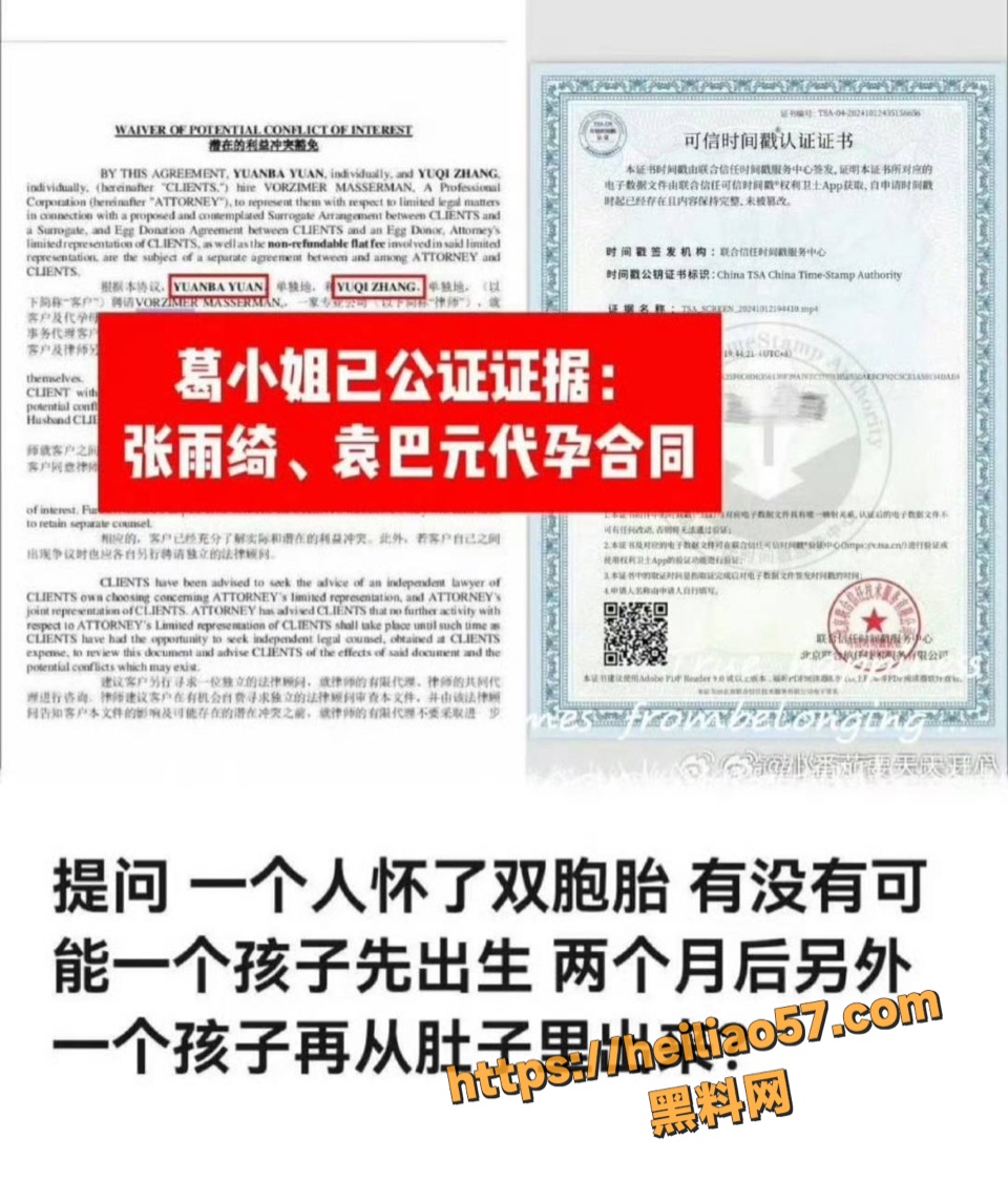张雨绮双胞胎代孕时间质疑8