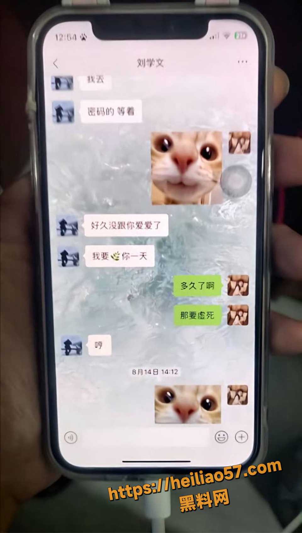 刘学文曝光tt渣女性爱视频 11