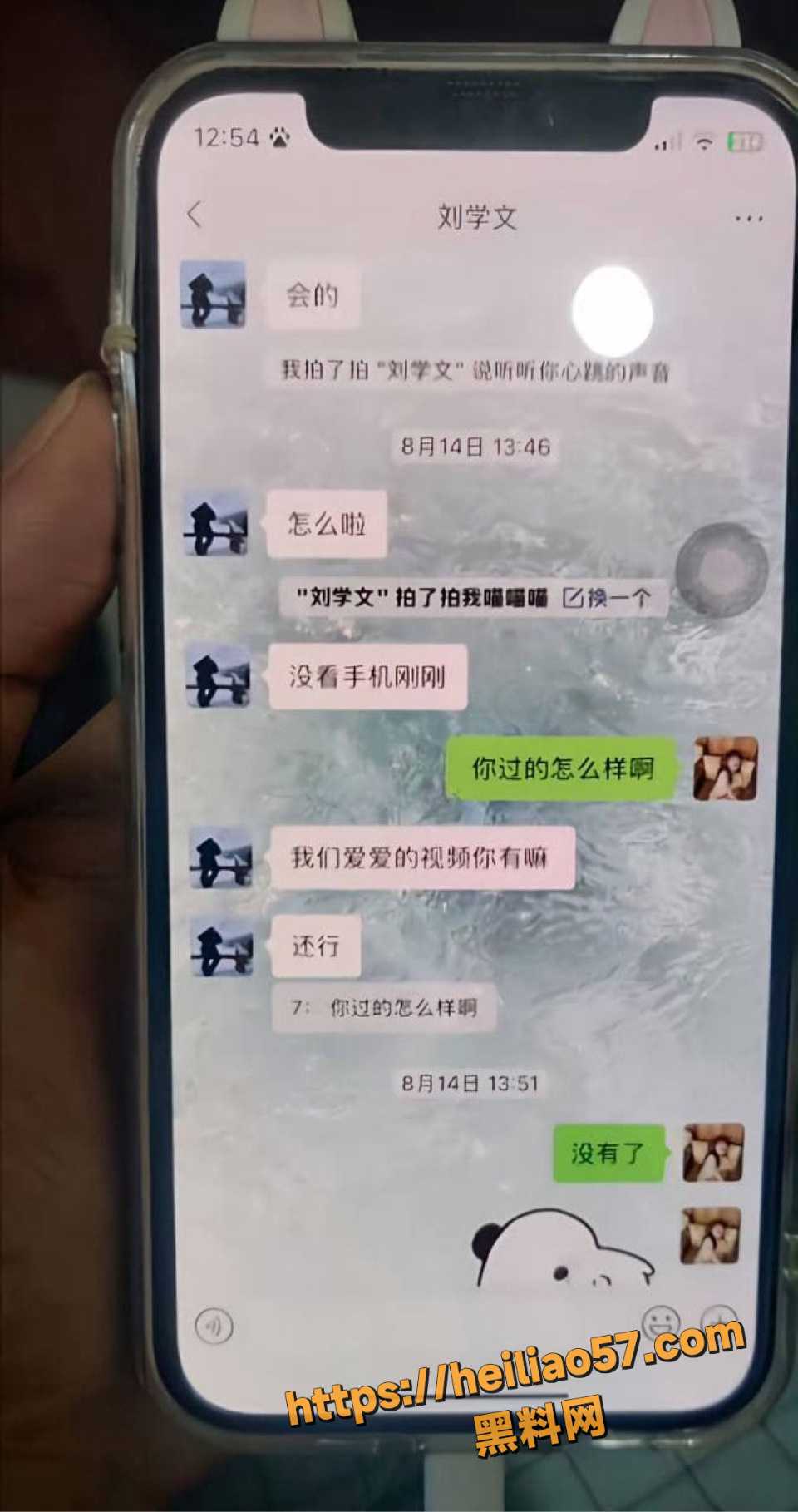 刘学文曝光tt渣女性爱视频 14
