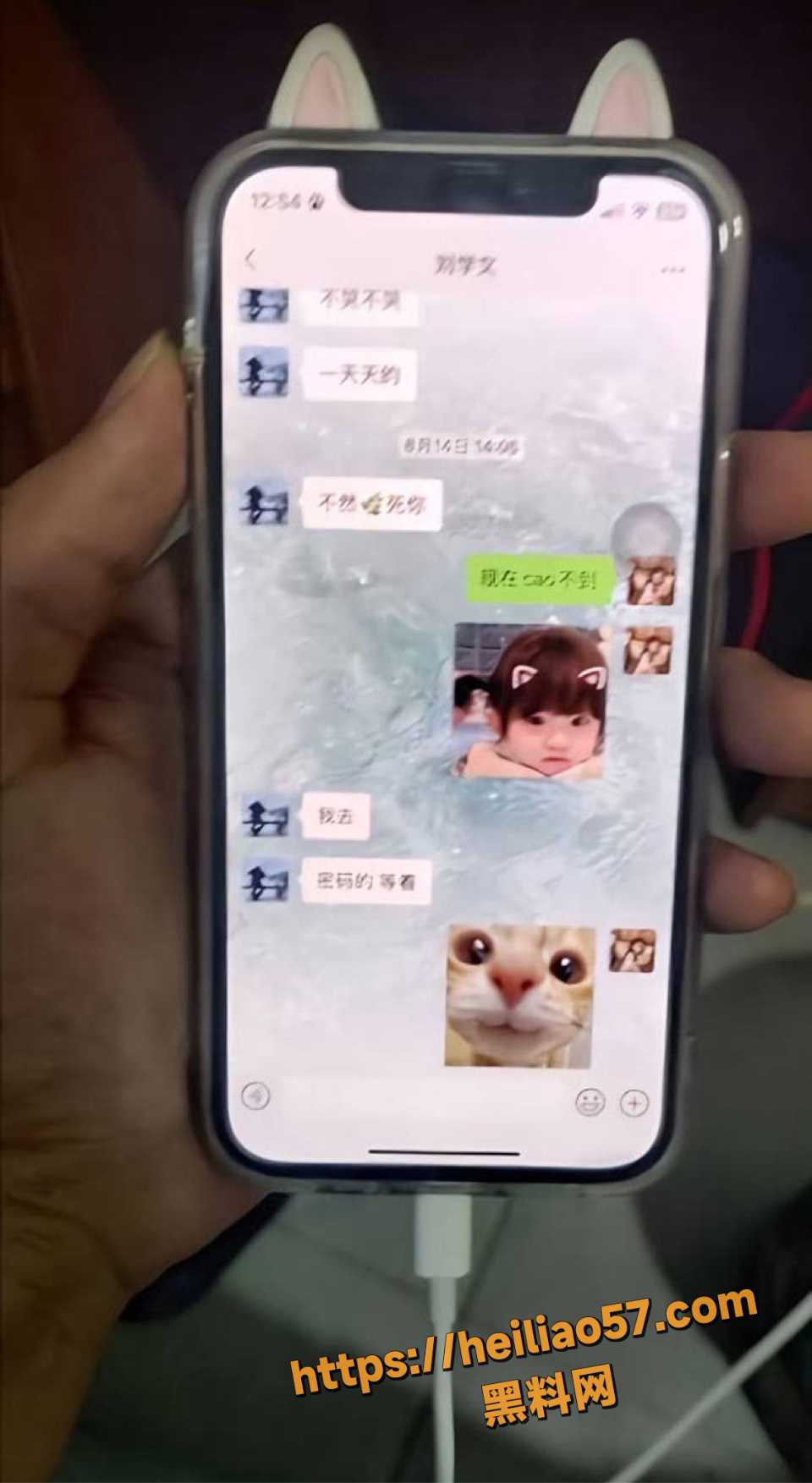 tt交友群19