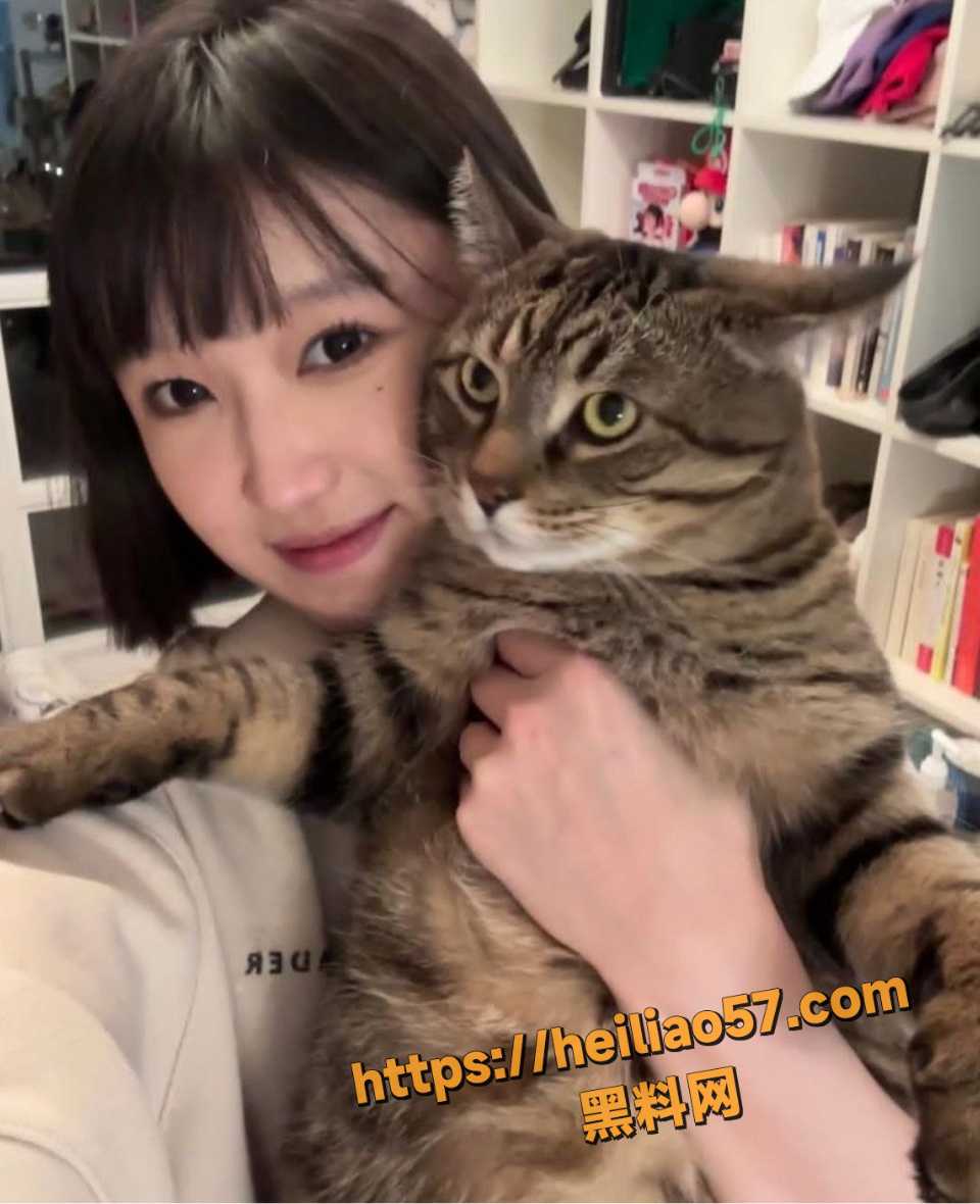 加拿大多伦多7