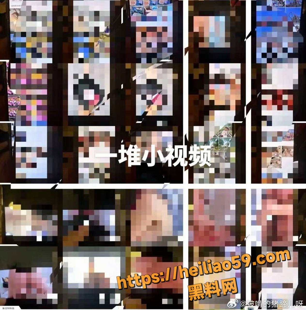 苏泽林劣迹行为曝光43