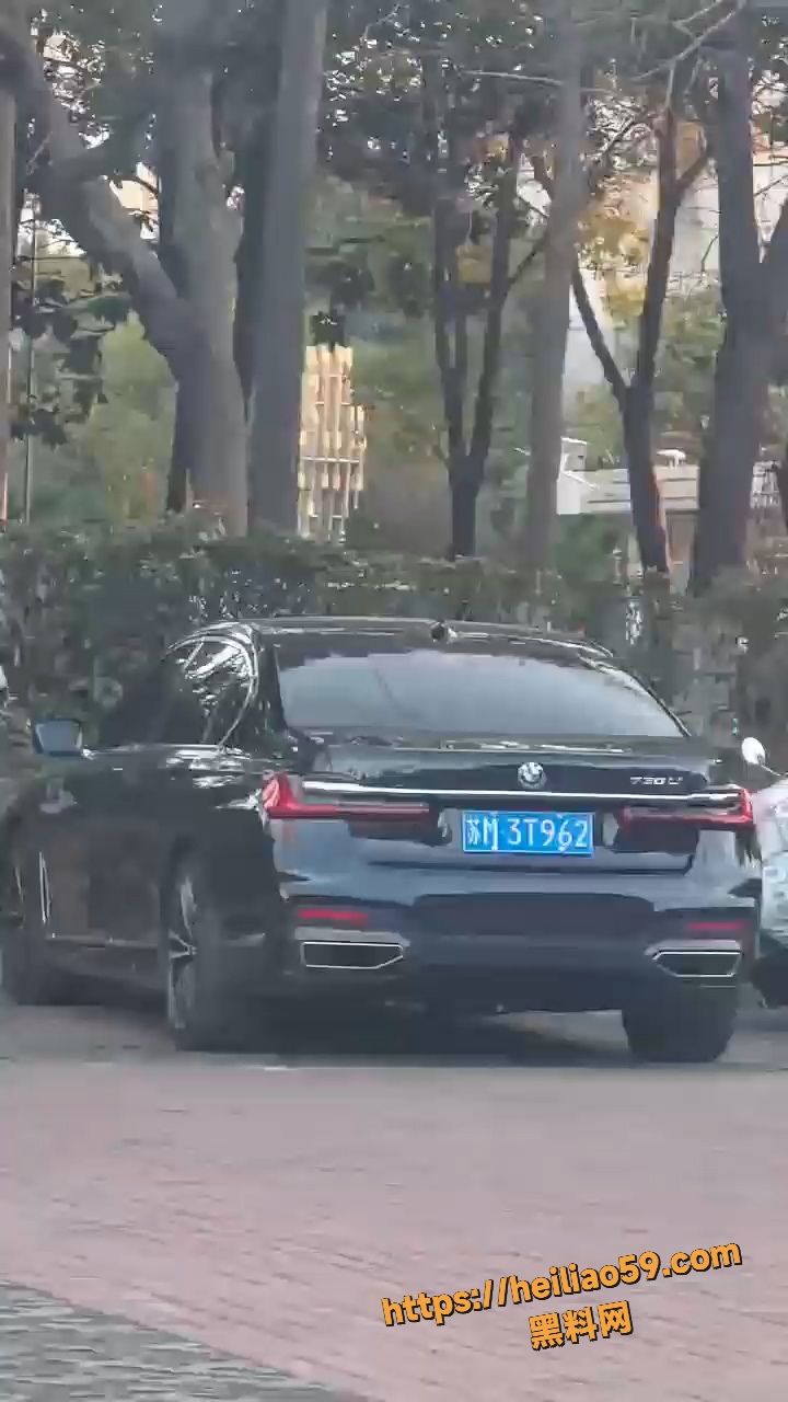 宝马车主路边车震