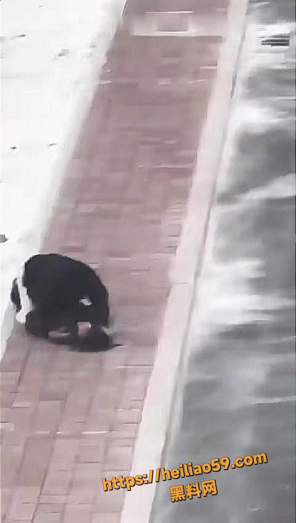 吵架7