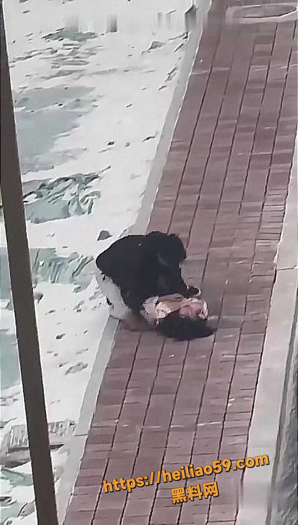 吵架8