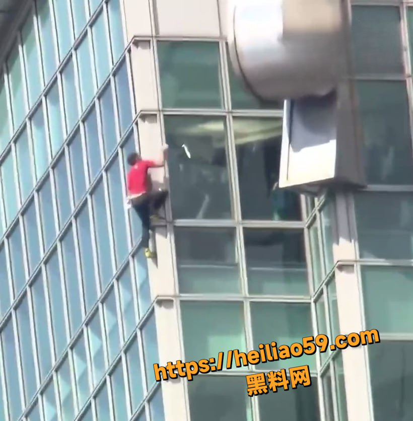 霍诺德攀登台北101现场视频3