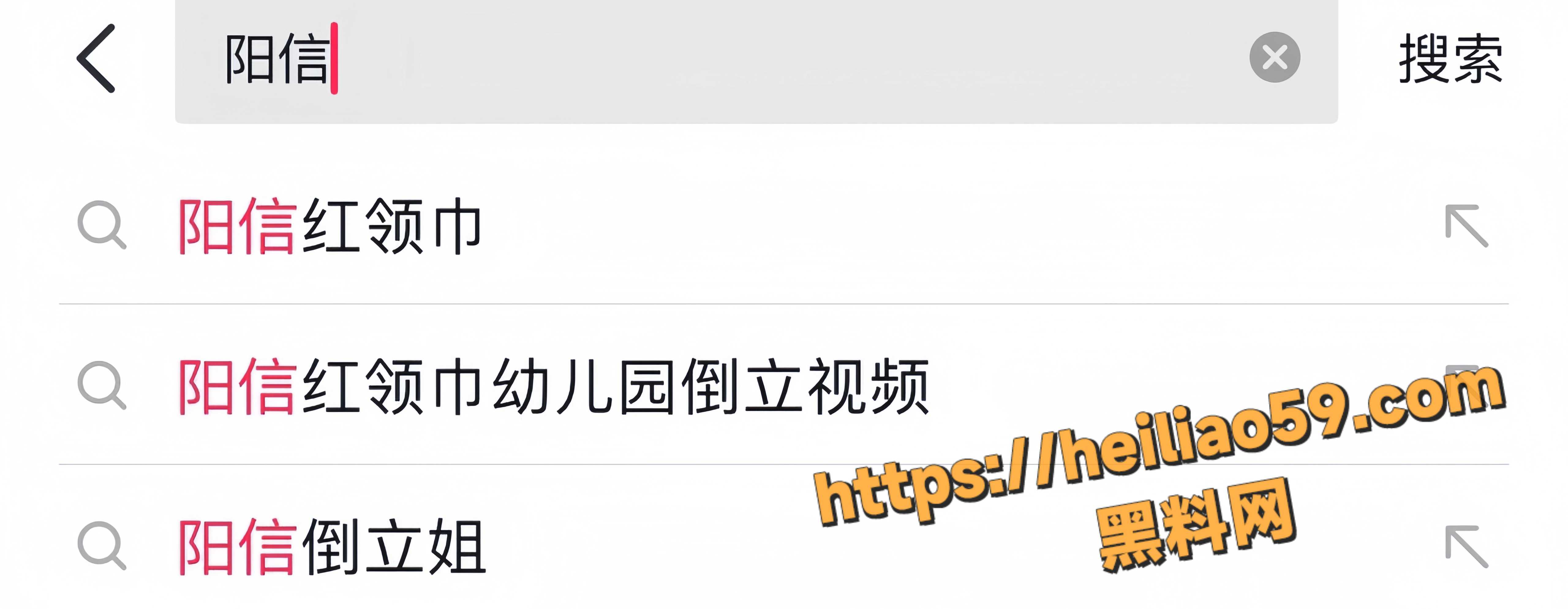 阳信红领巾幼儿园园长3