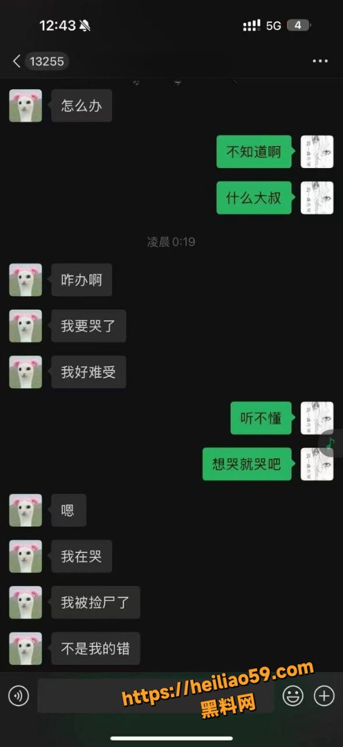 抖音吉他张与索菲亚恋情10