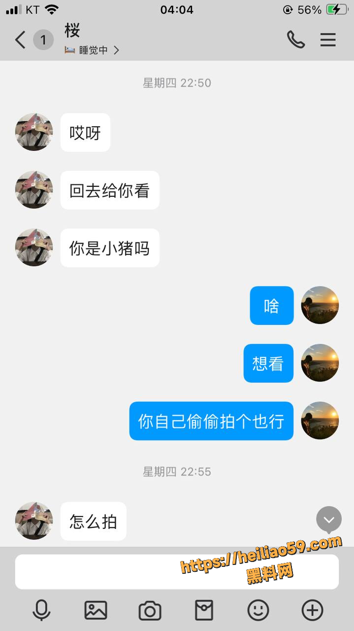 黄叶聊天记录2