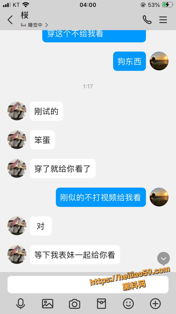 黄叶聊天记录4