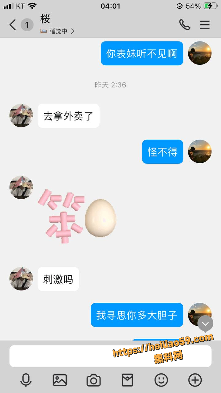 黄叶聊天记录3