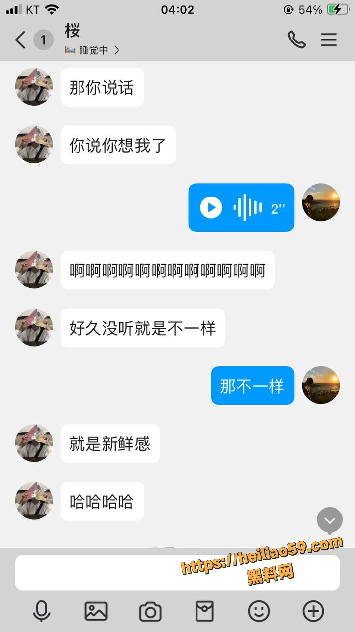 黄叶聊天记录6