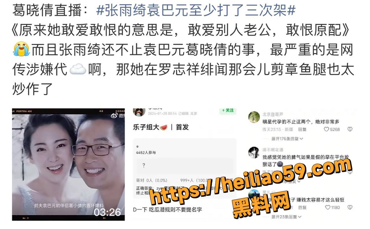 张雨绮袁巴元离婚真相8