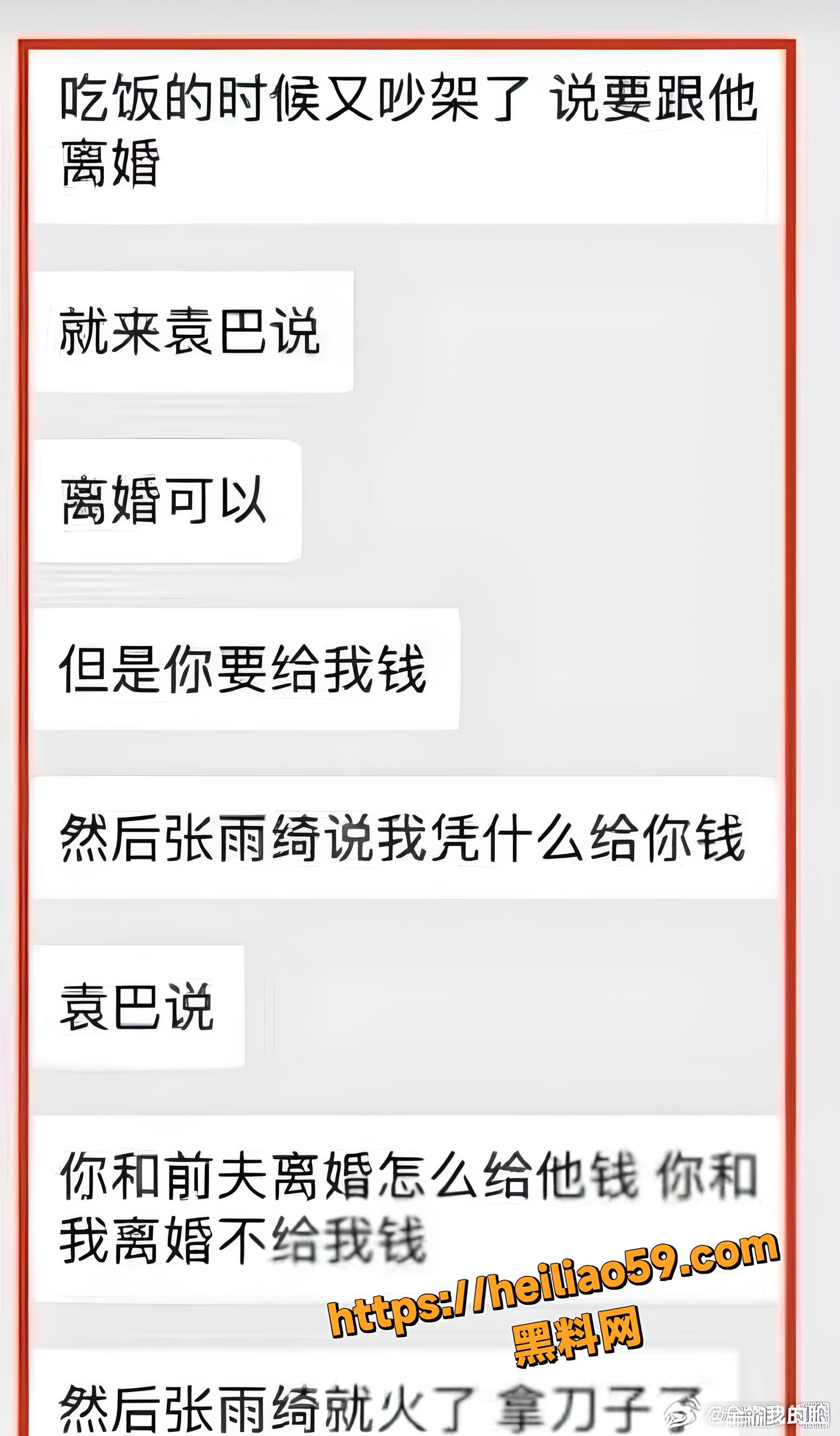 张雨绮代孕事件实锤19