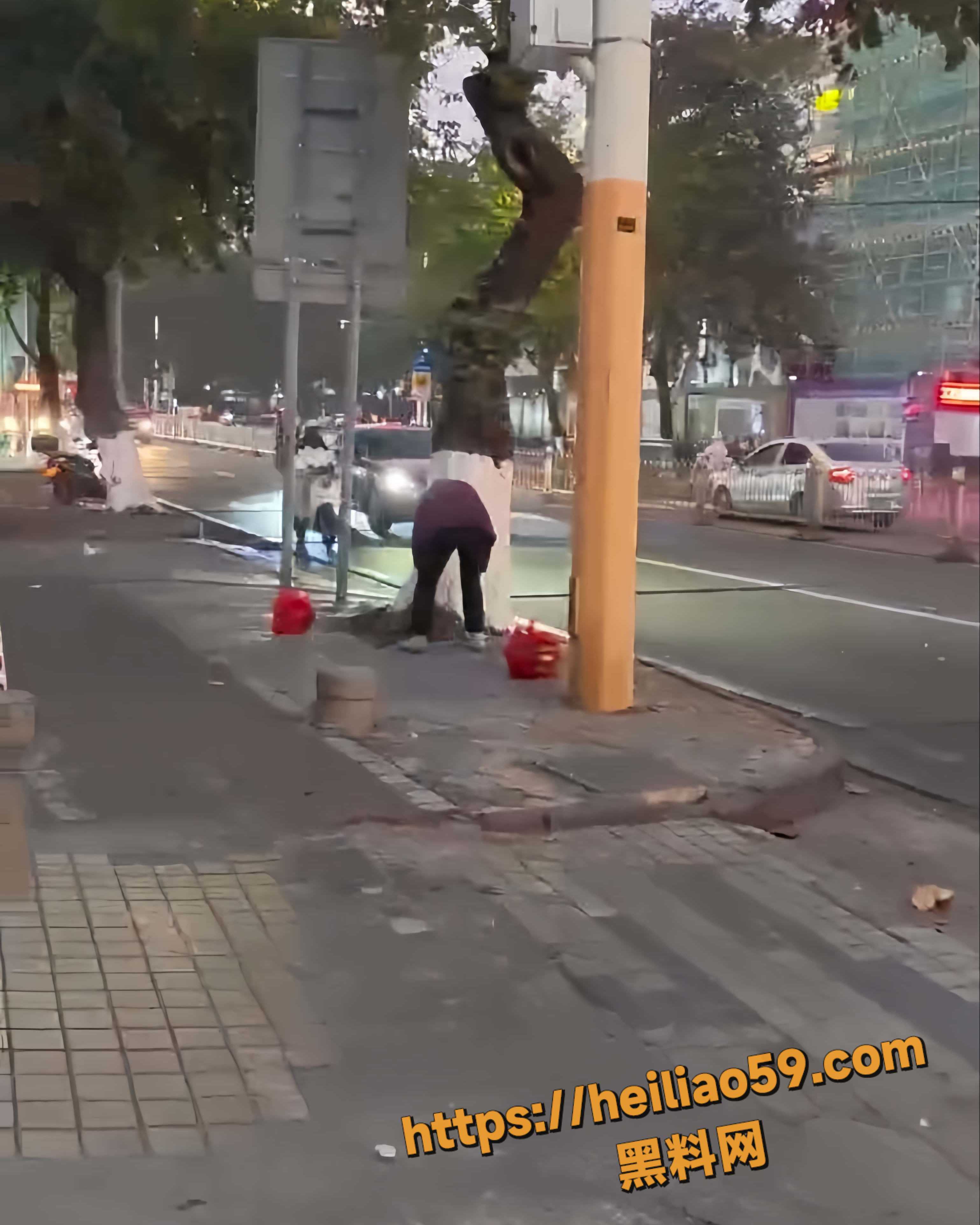 老头丢石头害人事件2
