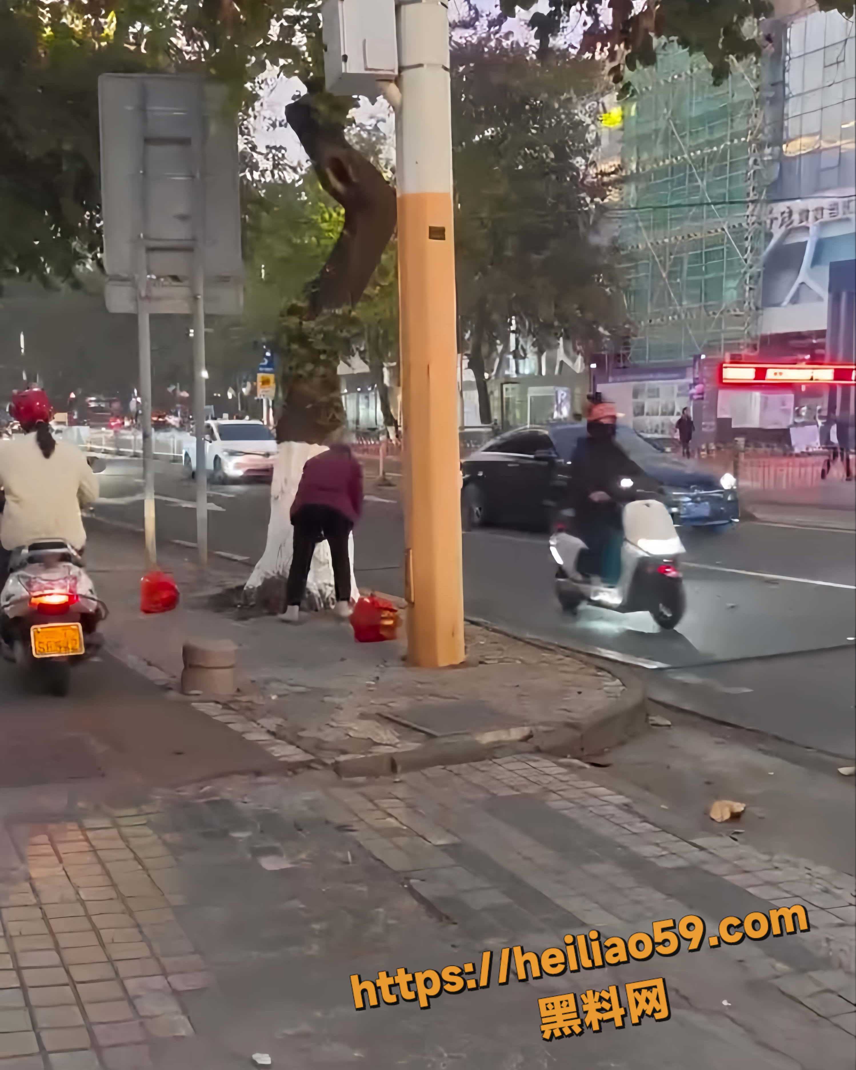 老头石头砸路人全过程3