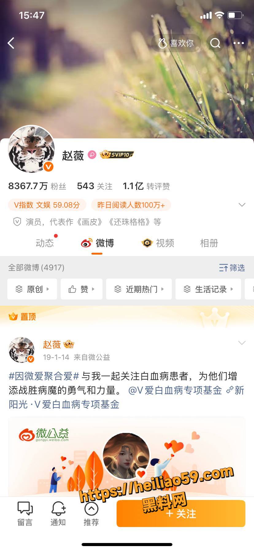 赵薇李湘联手洗钱黑幕1