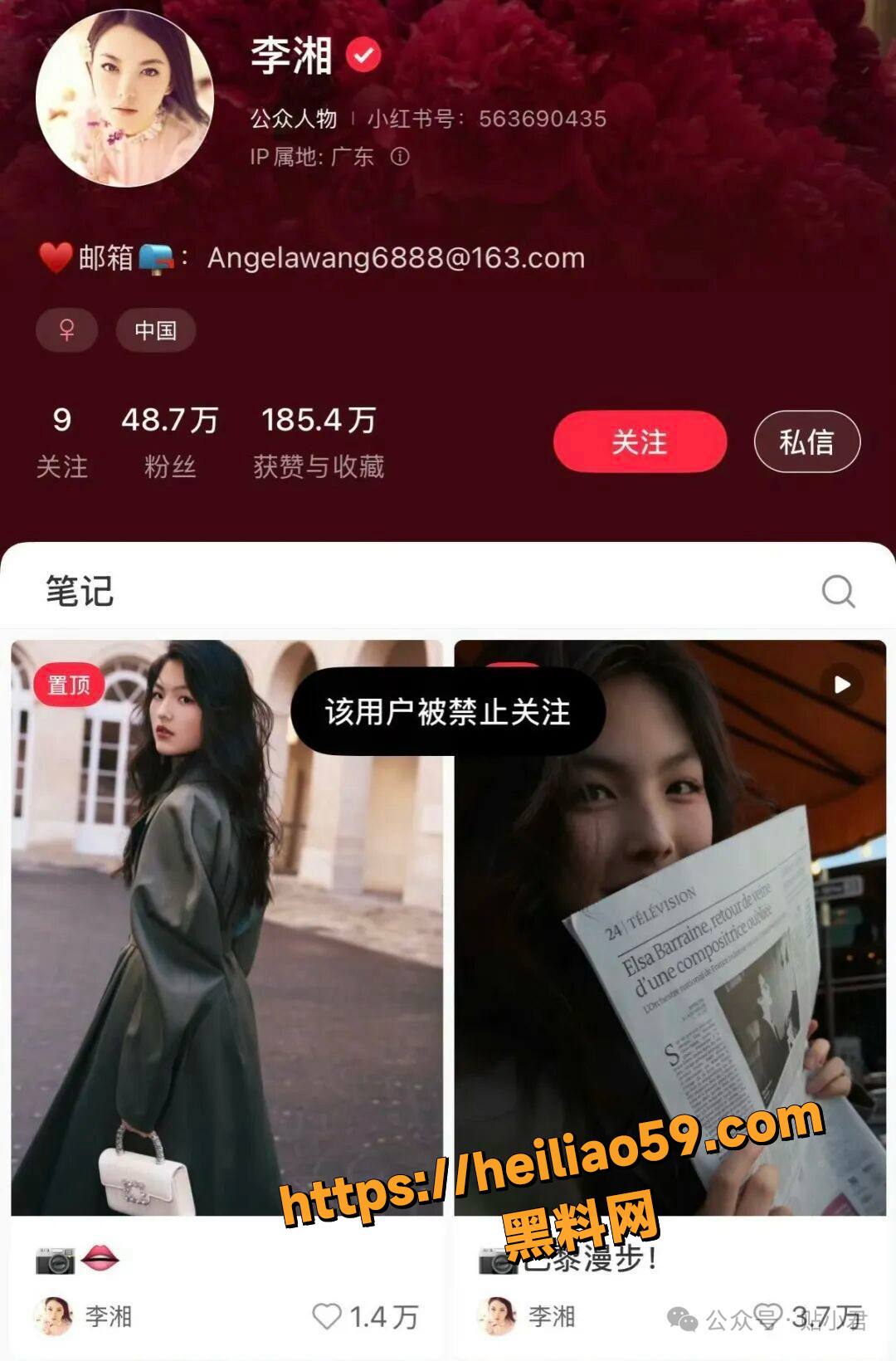 赵薇李湘联手洗钱黑幕2