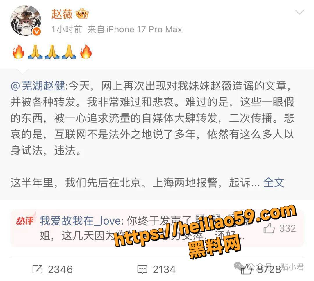 李湘被全网封杀事件23