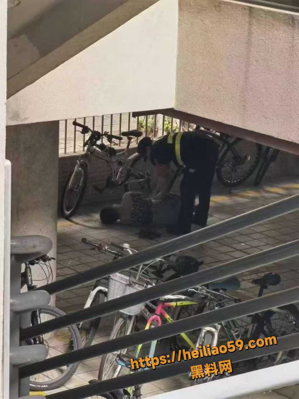研究生怒砍导师朱春波4