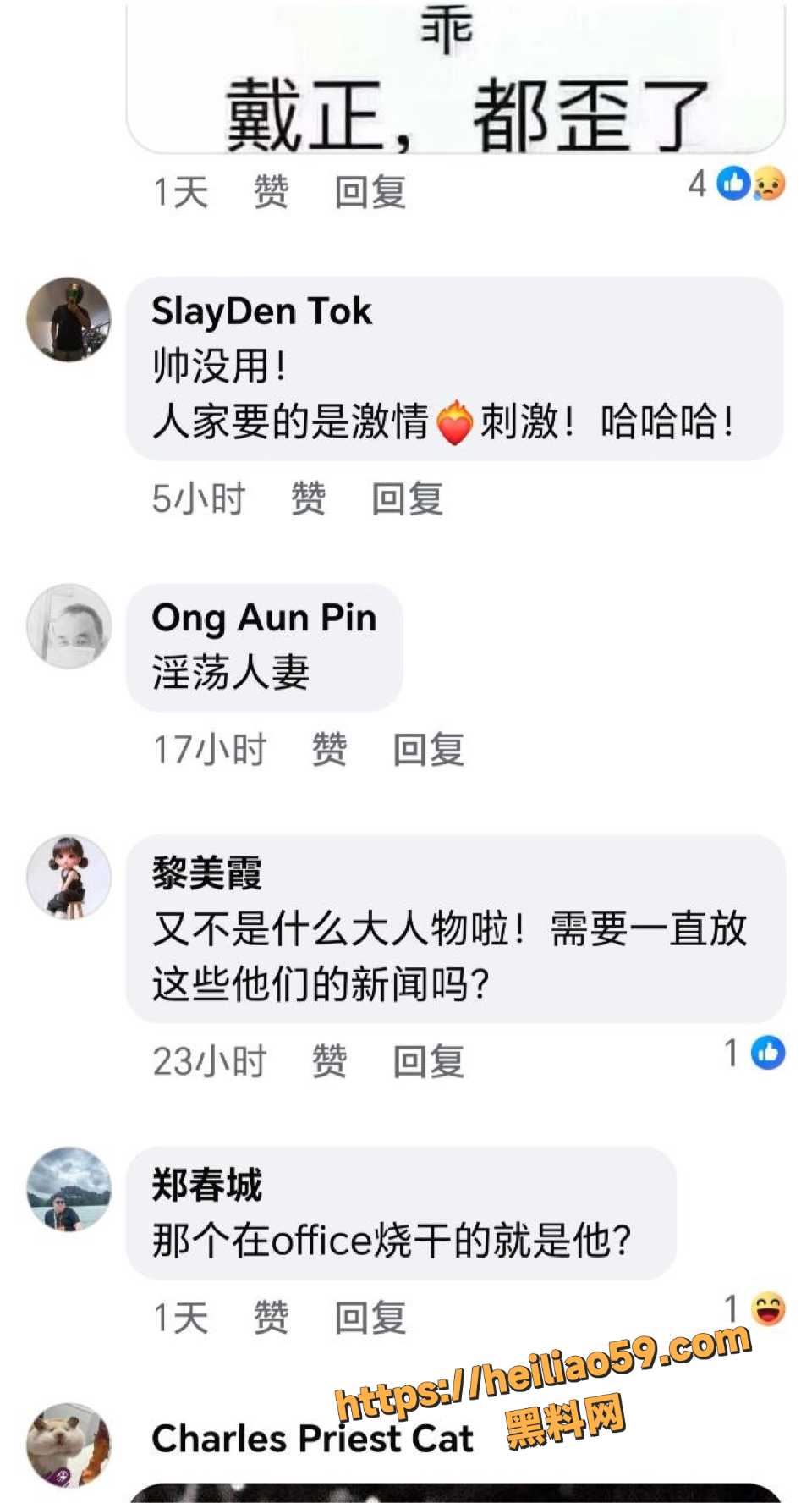 PropertyLimBrothers丑闻事件10