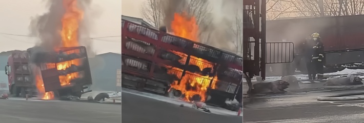 下载