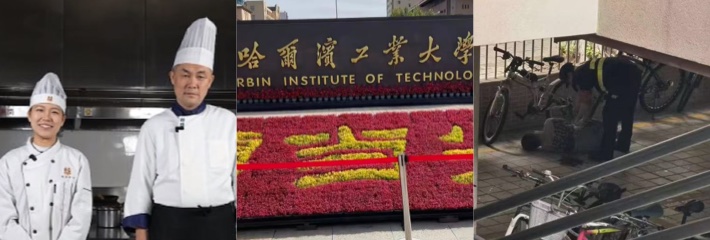 下载