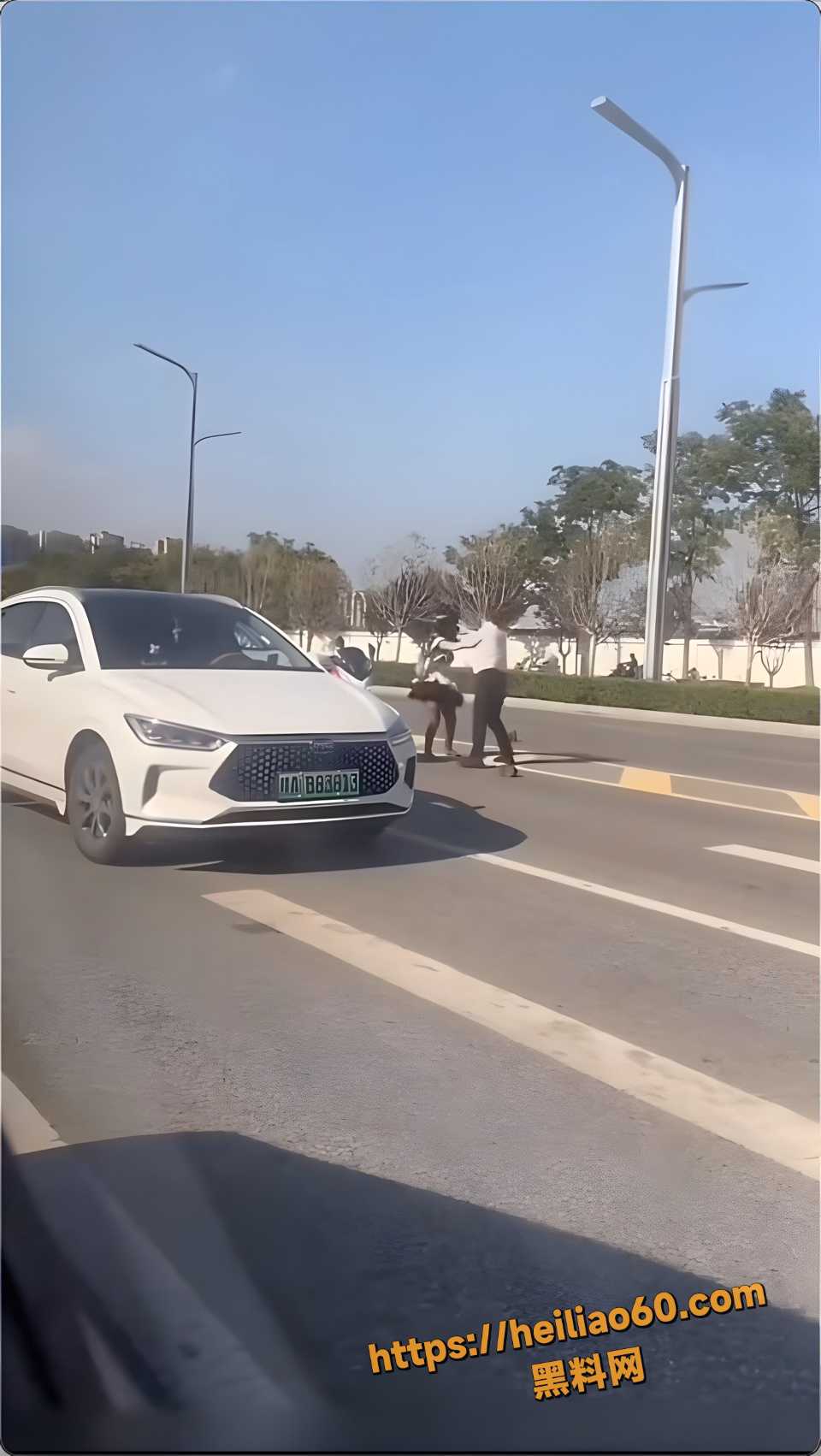路怒症斗殴资源2