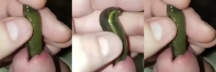 下载 1