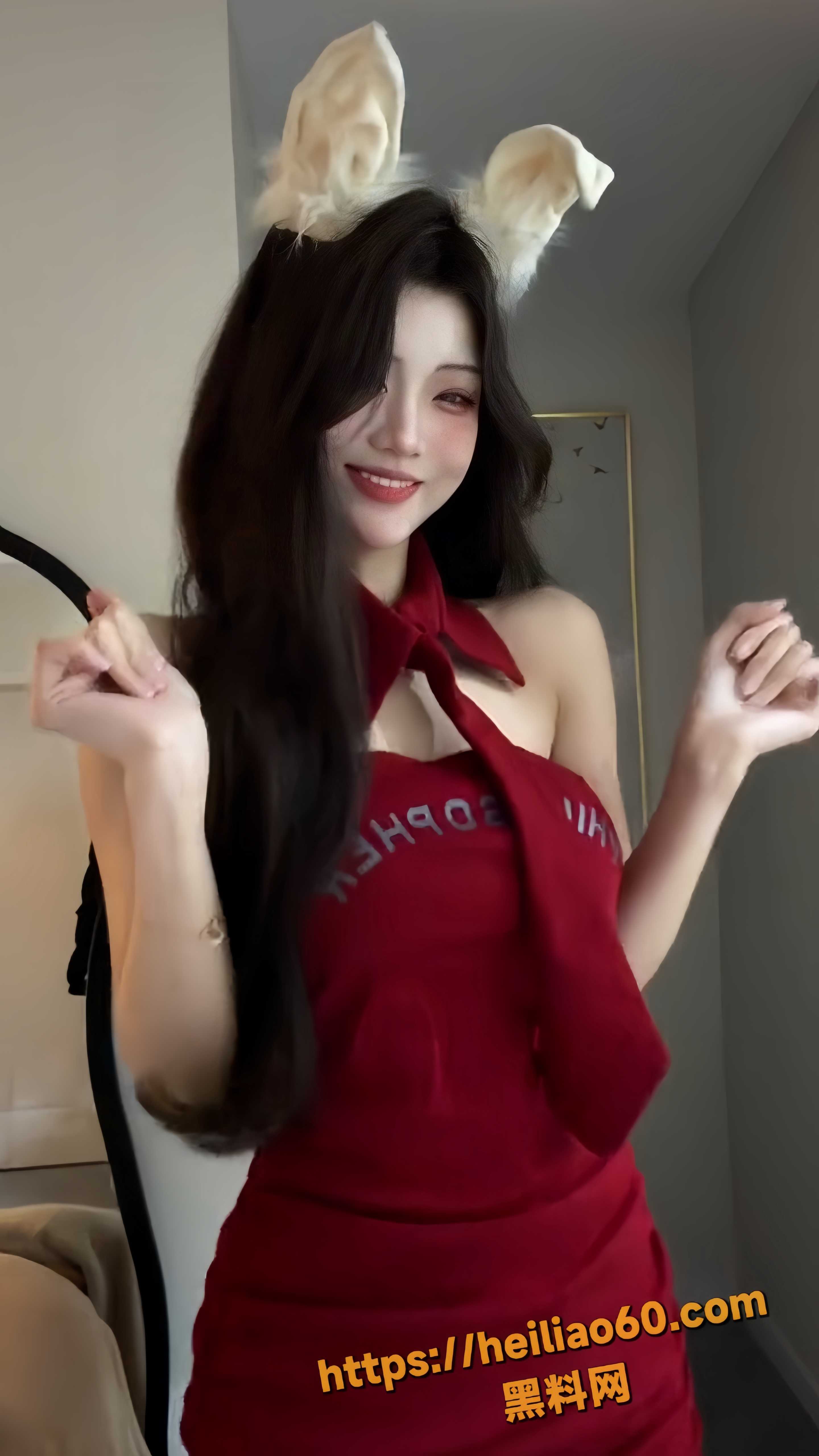 星狗5