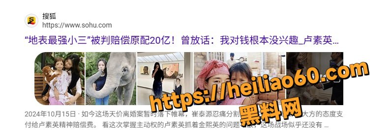 汉南洞夫人金熙英故事2
